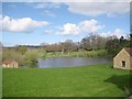 Dillington Estate Pond - Eaglewood Park