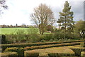 View from the maze, Bridge End Gardens