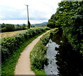 Bend in the canal, Croes y Pant