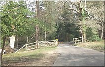 SU2407 : Bolderwood Ornamental Drive north end at cattle grid by John Firth