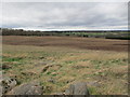 Arable land near Balfreish