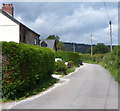 Roadside telephone poles, Croes y Pant