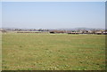 TQ8745 : Flat grassland by N Chadwick
