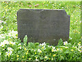SK7439 : Belvoir Angel headstone by Alan Murray-Rust