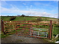 Rusty gates and lane, Crillys Hill