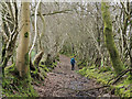 Footpath between Blaensawdde and Gorsddu