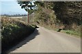 Bude Hill (road) skirting Winkleigh Wood