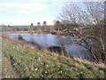 SJ5106 : Pond near Boreton by Mick Garratt