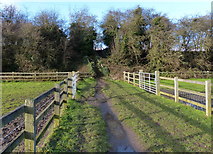 SK5701 : Path leading to the Great Central Way footpath by Mat Fascione