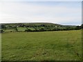 Field by Carnanreagh Road