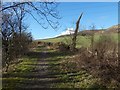 Path to Old Kilpatrick