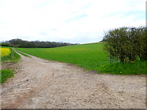 SU6043 : Farm track from minor road north west of Axford by Shazz