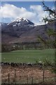 Fields, Strath Beag