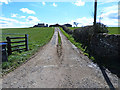 NZ0927 : Farm road to East Crane Row Farm by Oliver Dixon