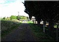 Track at end of Zortech Avenue, Kidderminster