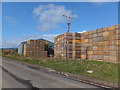 Tattie crates, Garguston Farm