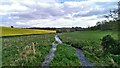 SU2873 : Watercourse, Whittonditch, near Aldbourne by Brian Robert Marshall