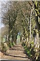 Pembrokeshire : Small Lane