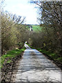 Lane across the valley of the Linburn Beck