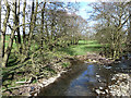 Linburn Beck