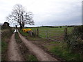 Field, gate and track