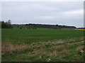 Farmland near Washdyke Wood