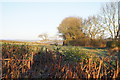 View across Hole Moor