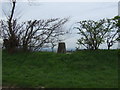 Fonaby Top Ordnance Survey Trig pillar