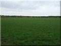 Farmland north of Moortown Road