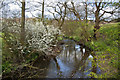 Dinckley Brook from the footbridge