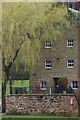 Willow and old building beside the Nith, Dumfries