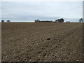 Farmland towards Rothwell Stackgarth