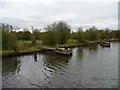 Remains of a pontoon, south bank, Wheatley Cut