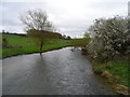 The River Windrush at Swinbrook