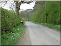 Lane towards Cuxwold