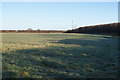 Frosty field - Lane End