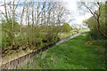 Along the Foss