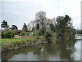 Back garden landing stage, Hexthorpe