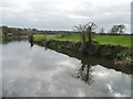 Drain outfall, River Don, Sprotbrough Ings [1]