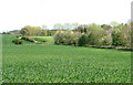 TM4393 : Crop fields beside Stanley Hills Road by Evelyn Simak
