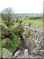 The upper reaches of the Camlough River