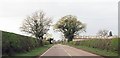 Approaching Woodend Farm