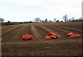 Potato planting near Kidderminster (1)