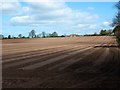 Potato planting near Kidderminster (2)