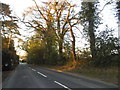 The A268, Four Oaks