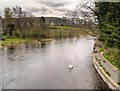 NY4624 : River Eamont from Pooley Bridge by David Dixon