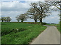 Bend On Country Road