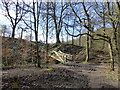 Footbridge over the River Yarrow at Drybones Wood