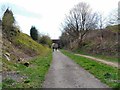 Cyclists on the Trans Pennine Trail