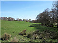 Field with Linburn Beck alongside